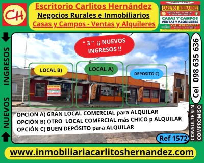Locales Comerciales en Alquiler en San José de Mayo, San José