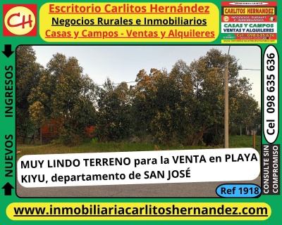 Terreno en Venta en Kiyú, San José
