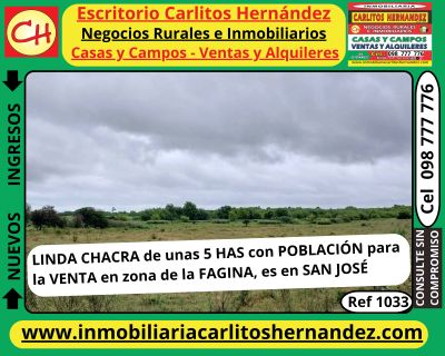 Campo en Venta en La Fagina, San José de Mayo, San José