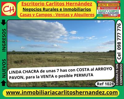 Campo en Venta en Pavon, San José de Mayo, San José