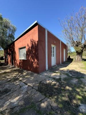 Chacra en Venta en Salto, Salto