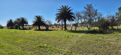 Terreno en Venta en Palmitas, Soriano