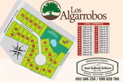 Terreno en Venta en Mercedes, Soriano