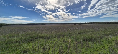 Campo en Venta en Mercedes, Soriano