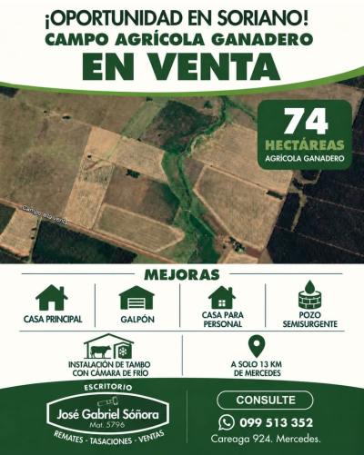 Campo en Venta en Mercedes, Soriano