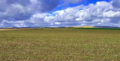 Campos y Chacras en Venta en Goyena, Buenos Aires
