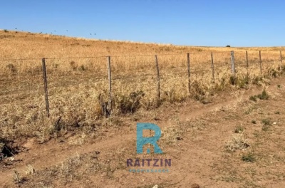 Campos y Chacras en Venta en Bahía Blanca, Buenos Aires