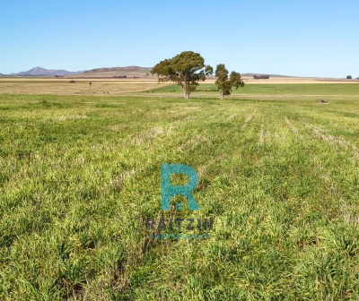 Campos y Chacras en Venta en Tornquist, Buenos Aires