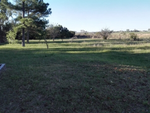 Terrenos en Venta en Termas del Daymán, Salto