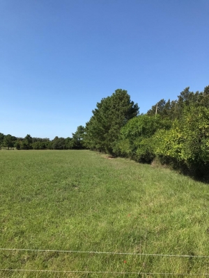 Campo / Chacra en Venta en Colonia Osimani, Salto