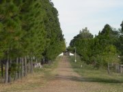 Turismo Rural en Alquiler,  Alquiler Turístico en Termas del Daymán, Salto