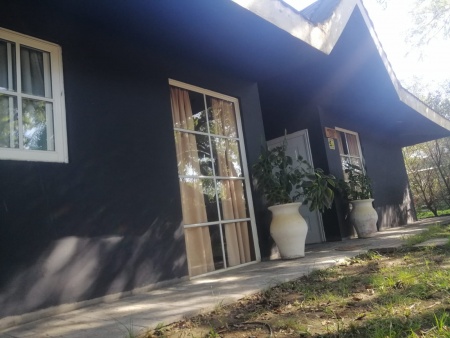 Casa en Venta,  Alquiler en Arenitas Blancas, Salto, Salto