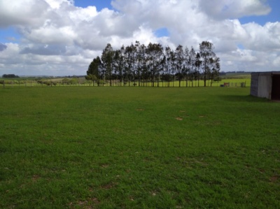 Campos en Venta en Maldonado, Maldonado