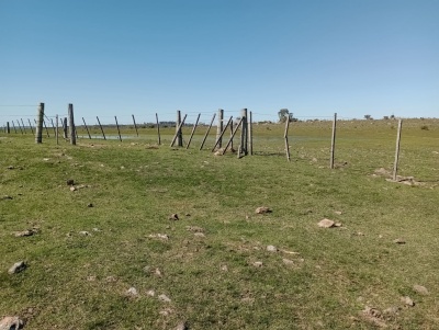 Campos en Venta en Treinta y Tres, Treinta y Tres