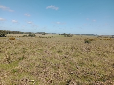 Campo en Venta en Rocha, Rocha