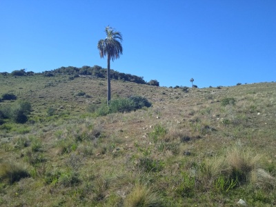 Chacra en Venta en Maldonado, Maldonado