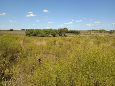 Campos en Venta en Solís de Mataojo, Lavalleja