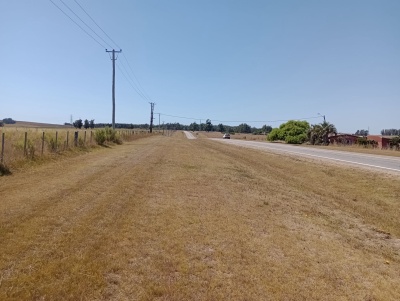 Chacras en Venta en San Carlos, Maldonado