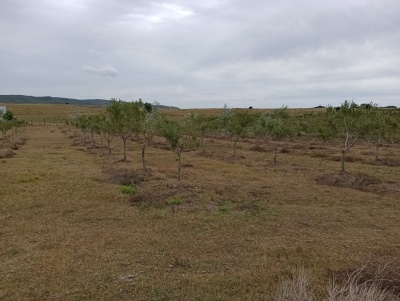 Chacras en Venta en Maldonado, Maldonado