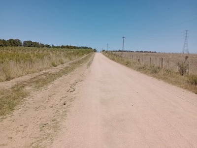Chacras en Venta en San Carlos, Maldonado