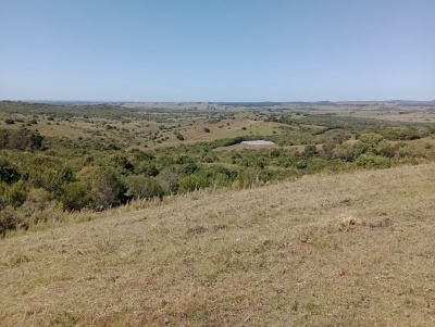 Campos en Venta en Rocha, Rocha