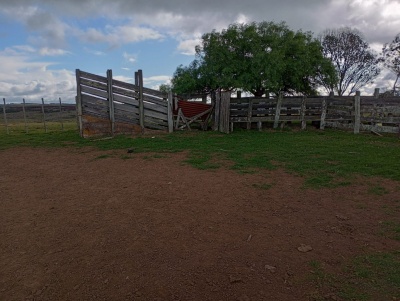 Campos en Venta en Minas, Lavalleja