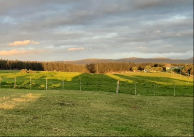 Campos en Venta en Minas, Lavalleja