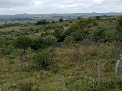 Campos en Venta en Garzón, Maldonado