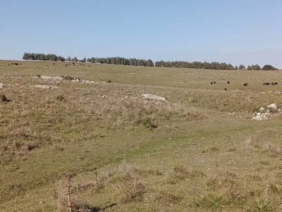 Chacra en Venta en Maldonado, Maldonado