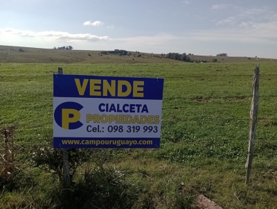 Chacras en Venta en Maldonado, Maldonado