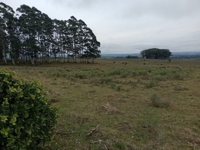 Chacra en Venta en Cordillera, Maldonado, Maldonado