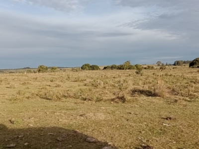 Chacras en Venta en Garzón, Maldonado