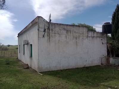 Campos en Venta en Gaetán, Lavalleja