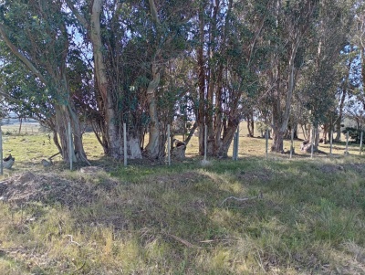 Campos en Venta en Garzón, Rocha