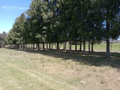 Campos en Venta en Solís Grande, Maldonado