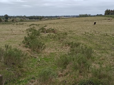 Chacras en Venta en Canelones, Canelones