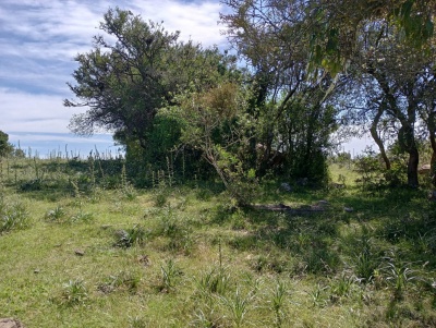 Campos en Venta en Aiguá, Maldonado