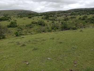 Campos en Venta en Abra de Perdomo, Maldonado