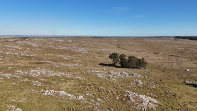 Campos en Venta en Gaetán, Lavalleja