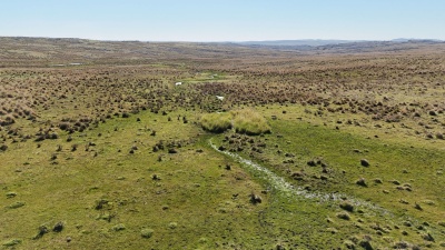 Campos en Venta en Gaetán, Lavalleja