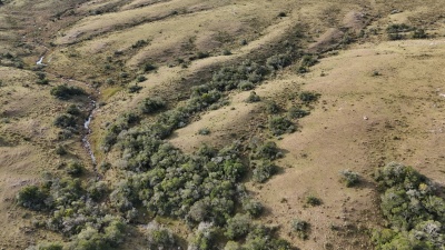 Campos en Venta en Carapé, Maldonado