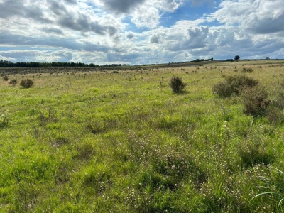 Campos en Venta en Migues, Canelones