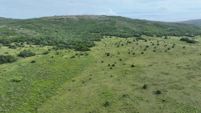 Campo en Venta en Los Talas, Maldonado