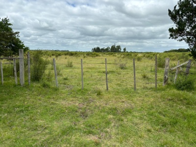 Campo en Venta en Migues, Canelones