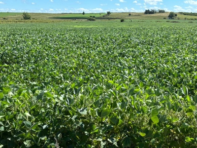 Chacras en Venta en Migues, Canelones