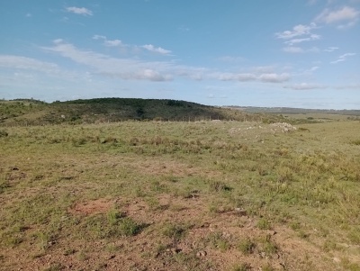 Campos en Venta en Pan de Azúcar, Maldonado