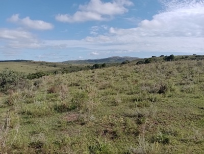 Campo en Venta en Maldonado, Maldonado