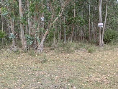 Campo en Venta en Rocha, Rocha