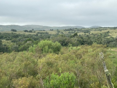 Chacra en Venta en Las Cañas, Maldonado, Maldonado