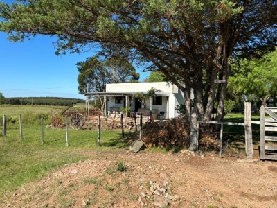 Chacra en Venta en Migues, Canelones
